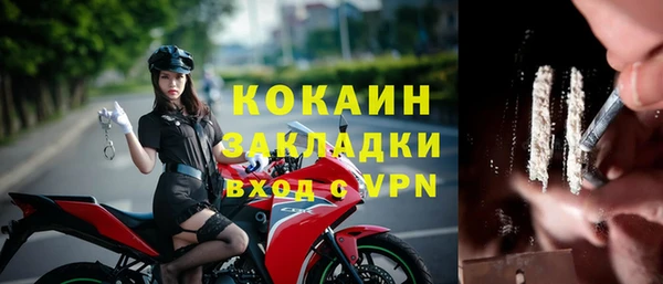 каннабис Новозыбков