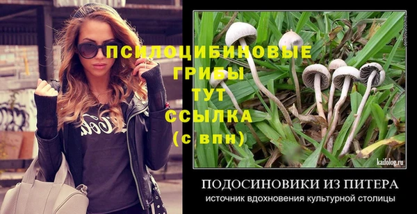 каннабис Новозыбков