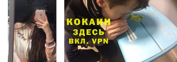 каннабис Новозыбков