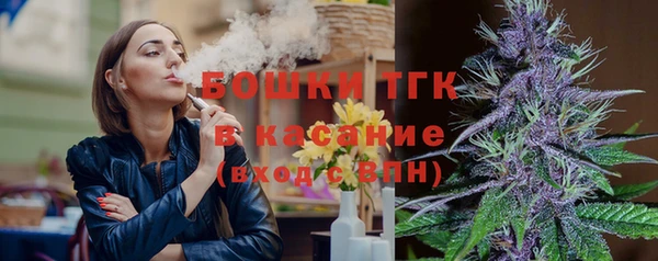 каннабис Новозыбков