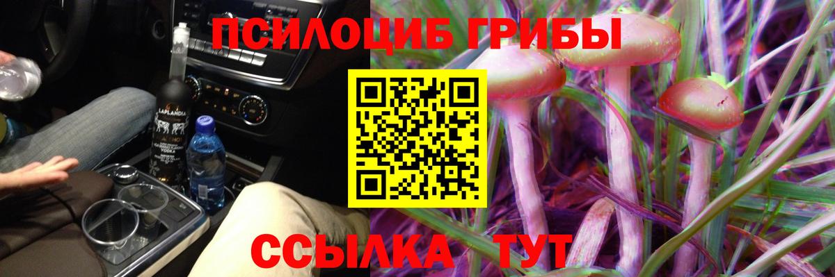 Псилоцибиновые грибы мухоморы Новосибирск